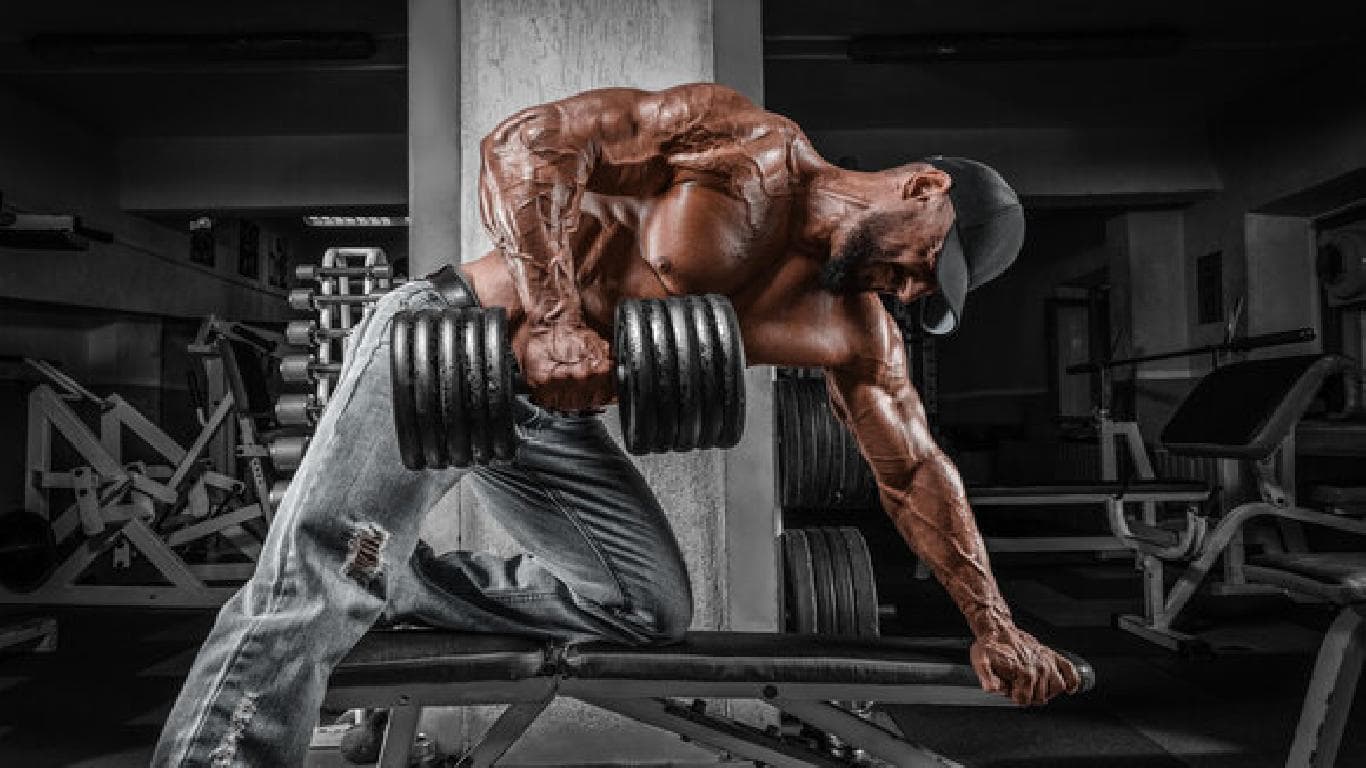 People working out in gymtechgear apparel